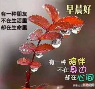 冬季早上好祝福语唯美图片大全 祝福图片大全