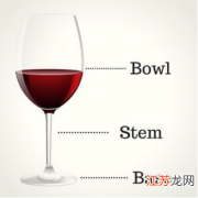 初学者指南 酒杯分类