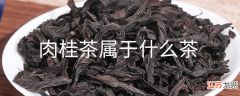 肉桂茶属于什么茶？