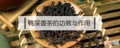 鸭屎香茶的功效与作用？