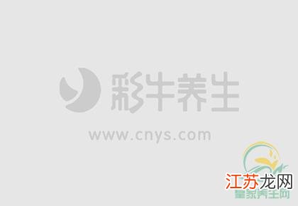 这物功效不弱于人参 补气养血让你更健康